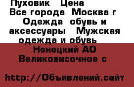 Пуховик › Цена ­ 2 000 - Все города, Москва г. Одежда, обувь и аксессуары » Мужская одежда и обувь   . Ненецкий АО,Великовисочное с.